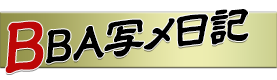 写メ日記
